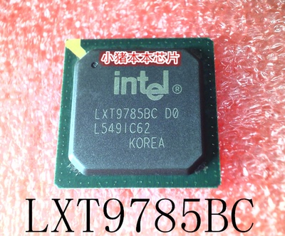 P8700SLGFGLXT9785BC集成电路