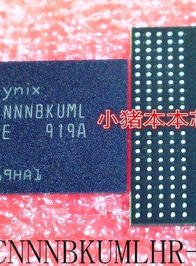 H9HCNNNBKUMLHR-NME       BGA200       新的