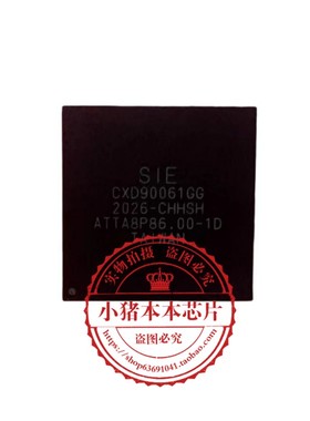 CXD90069GG CXD90061GG CXD90064GG CXD90046GG CXD90036GG 新的