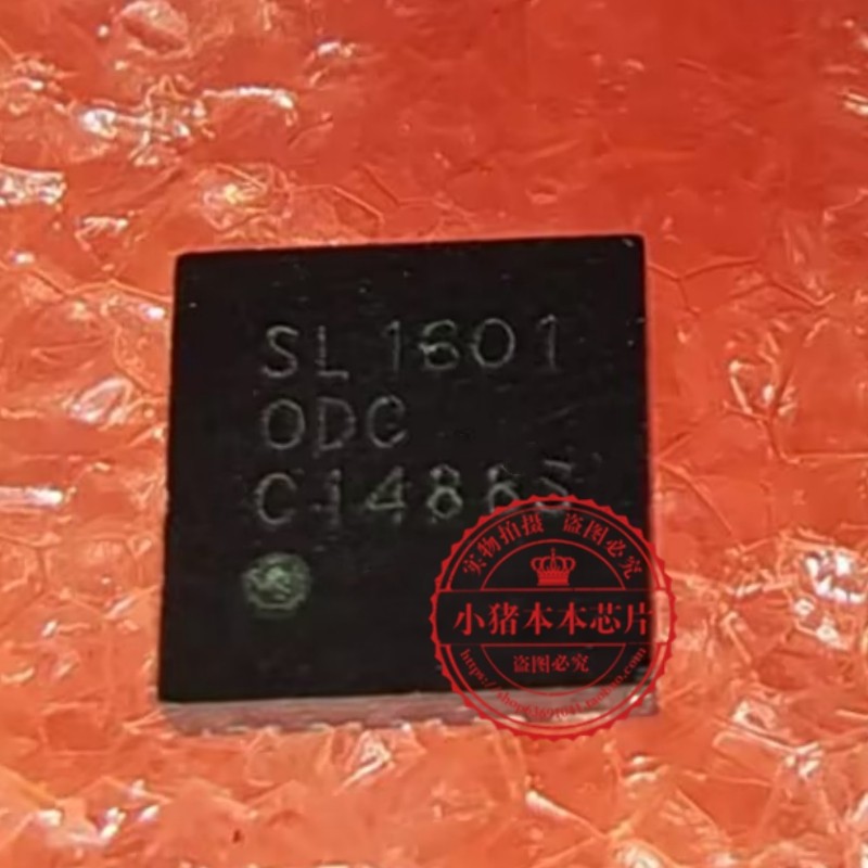 SL16010DCT SL16010DC SL1601 QFN10脚 新的 一个起拍