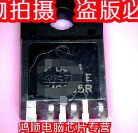 小猪 DM0565R  新   直接拍!!!