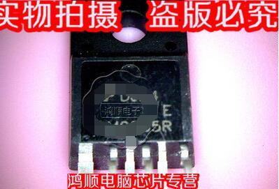 小猪 DM0565R  新   直接拍!!!