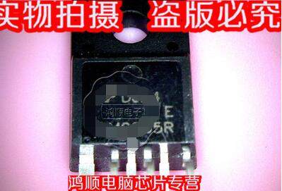 小猪 DM0565R  新   直接拍!!!