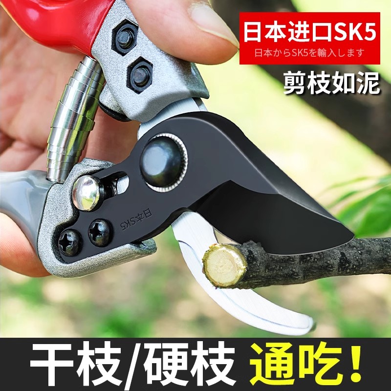 日本精工艺园剪刀剪树枝专用剪刀修枝剪园林果树修花家用粗枝剪子