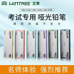 文萃哑光铅笔20b素描速写炭笔不反光碳铅6b12B亚光特浓专业素描笔