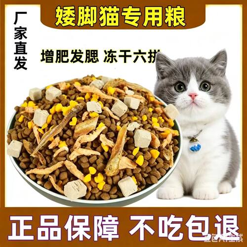 矮脚短脚猫专用猫粮成猫幼猫大包装便宜大猫小猫流浪猫哺乳期二月