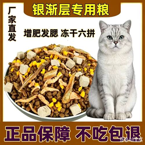 银渐层专用5斤10斤猫粮成猫幼猫玩偶猫土家猫主实大小通用