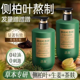 侧柏叶洗发水生姜茶麸植物草本养发防断脱控油蓬松去屑止痒洗发露