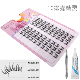 猫精灵自然灵动卷翘单簇假睫毛 10排超实惠装 双生花下睫毛10排