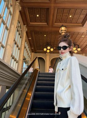 aaaaxbbb 凯拉尔 设计感高领纽扣针织开衫立领长袖上衣外套女秋冬