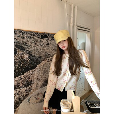 aaaaxbbb韩系小众碎花针织开衫