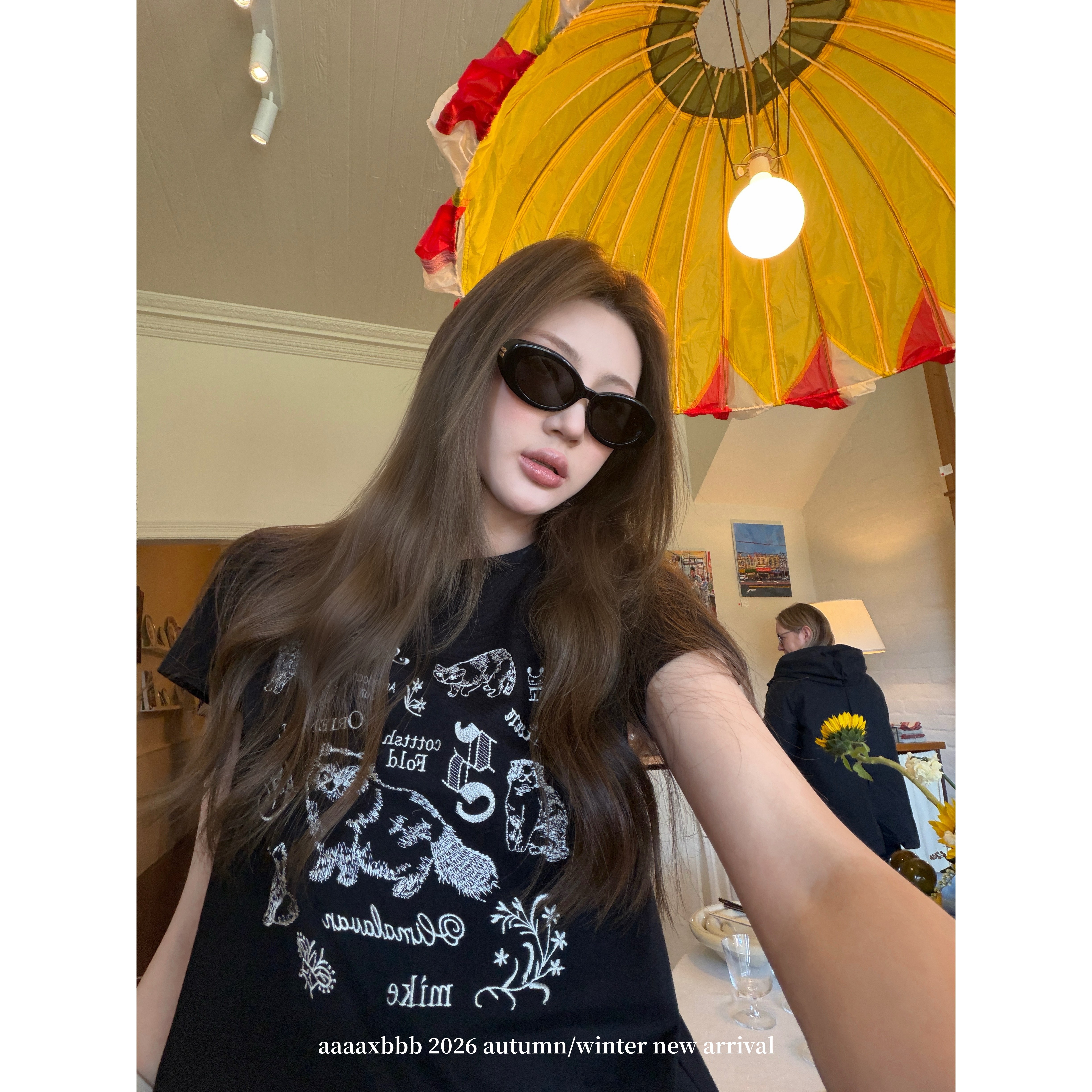 aaaaxbbb 小咪拼贴日记 刺绣正肩短袖T恤设计感小众圆领棉感上衣图片