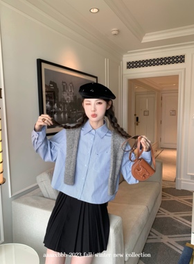 aaaaxbbb LOUVRE腔调 纯色细纹纯棉衬衫女翻领单排扣宽松韩系上衣