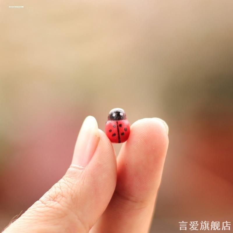 七星瓢虫素材苔藓微景观摆件DIY木质小甲壳虫装饰材料