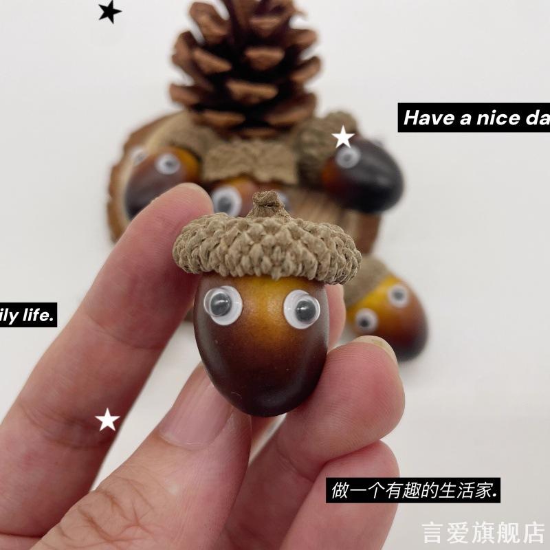 手工diy材料包混装花材植物干花