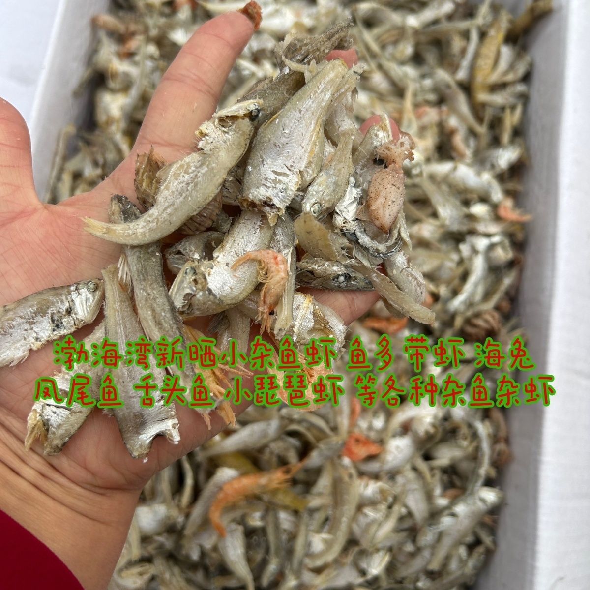 渤海湾新货新鲜即食熟食用农产品
