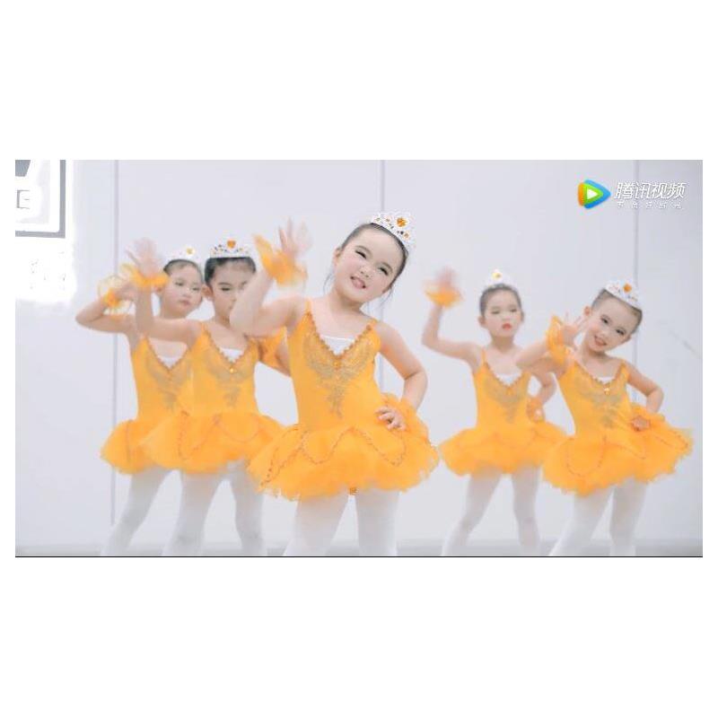 小美满舞蹈服儿童演出服芭蕾蓬蓬裙2024新款六一儿童节裙子表演服