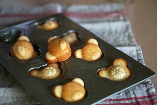 【现货】日本千代田chiyoda cuoca联名小熊8连/15连蛋糕模具