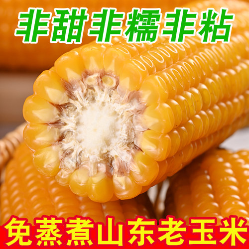 老玉米笨玉米老式黄笨玉米非甜非糯非黏偏硬有嚼劲开袋即食免蒸煮