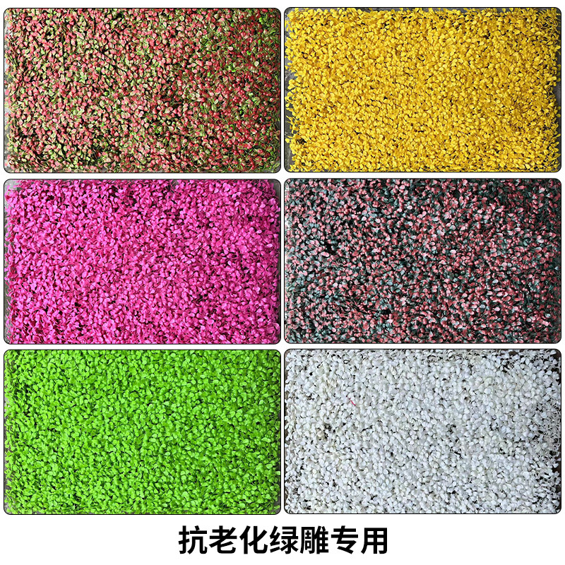 防晒米兰彩色米兰绿雕假草五色米兰草