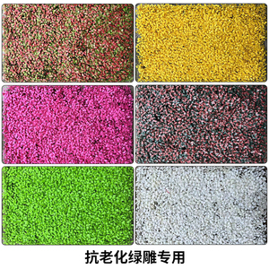 防晒米兰彩色米兰绿雕假草五色米兰草