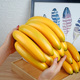 仿真香蕉模型皇帝蕉假水果塑料摆件装 饰道具水果店挂件玩具芭蕉串