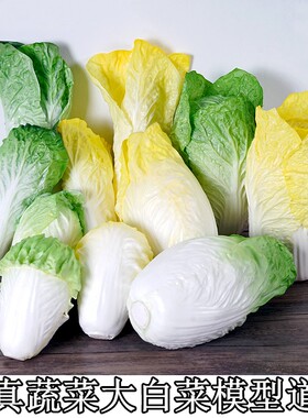 仿真大白菜模型假娃娃菜PU手感生菜装饰拍摄蔬菜道具厨房摆件白菜