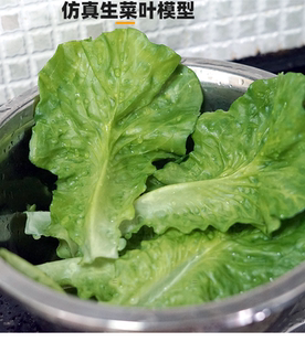 仿真生菜垫片假蔬菜软塑料生菜绿叶厨房生鲜肉餐厅菜肴装 饰摆盘垫