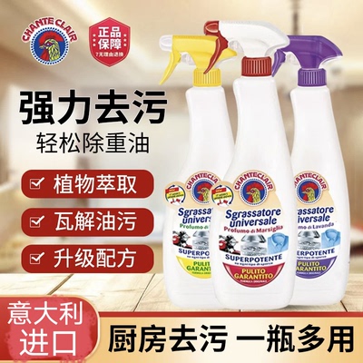 大公鸡管家油污净清洗剂