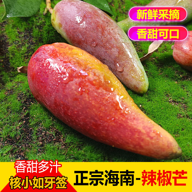 海南正宗辣椒芒 3/5/9斤包邮 网红牙签芒小芒果新鲜水果 皮薄核小