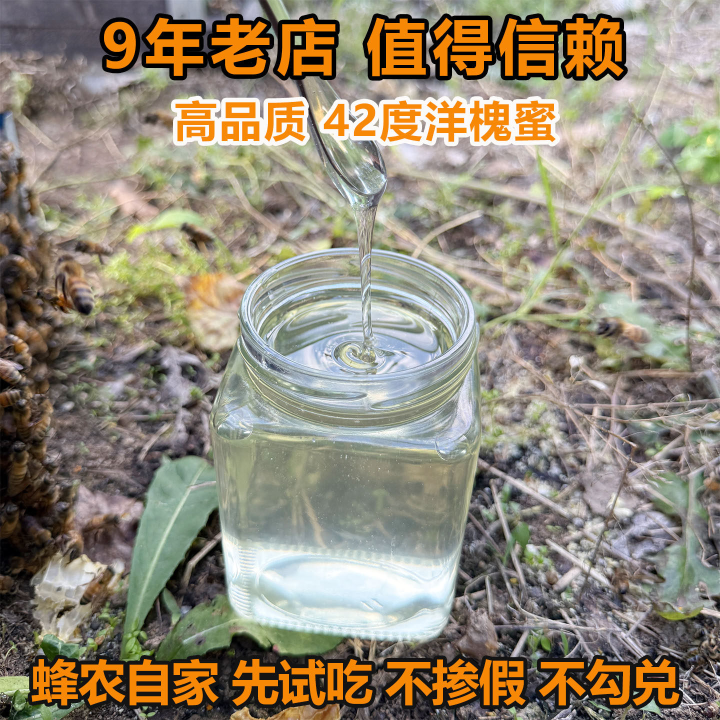 2026新蜜延安洋槐蜜农家蜂场蜂蜜纯正天然野生槐花蜜孕妇儿童刺槐