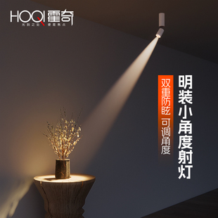 聚光射灯3w3度8度15度小光束角家用吸顶式 明装 可调角度茶室氛围灯