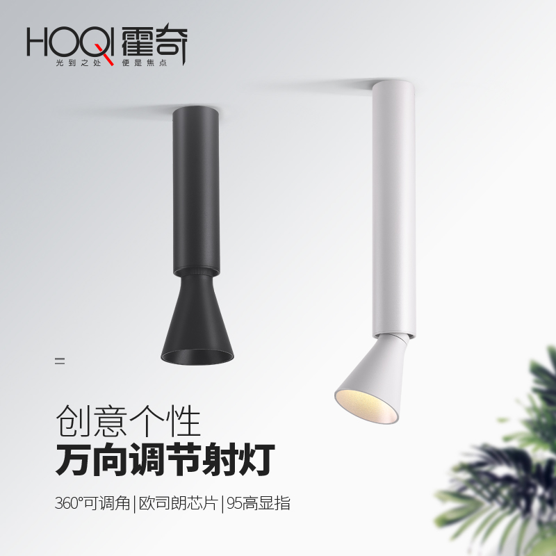霍奇明装万向调角射灯