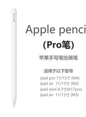 美版 Apple/苹果 pencil Pro笔 平板绘画笔 原装手写笔 压感磁吸