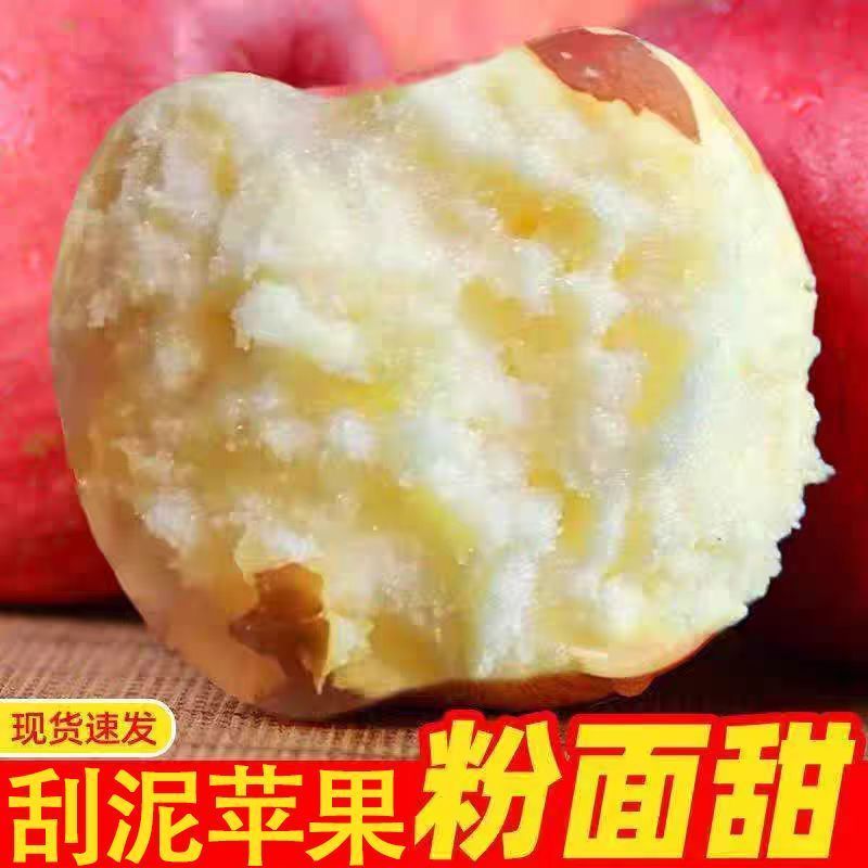 正宗陕西秦冠苹果粉面沙甜新鲜水果当季整箱婴儿辅食应季红星平果