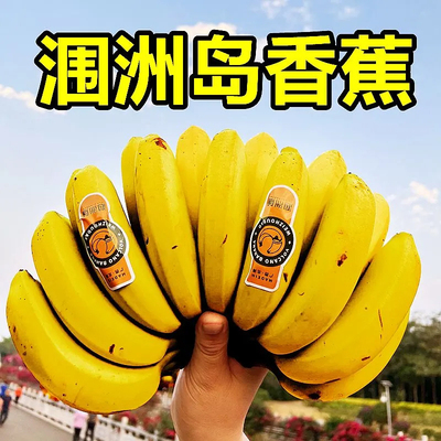 广西香蕉北海涠洲岛青皮自然熟当季新鲜水果火山蕉超甜