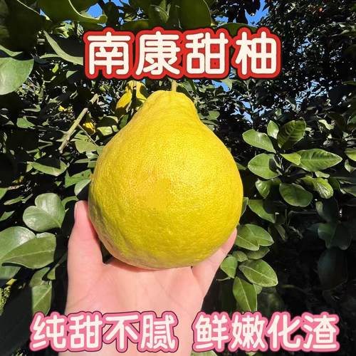 正宗南康甜柚！纯甜化渣