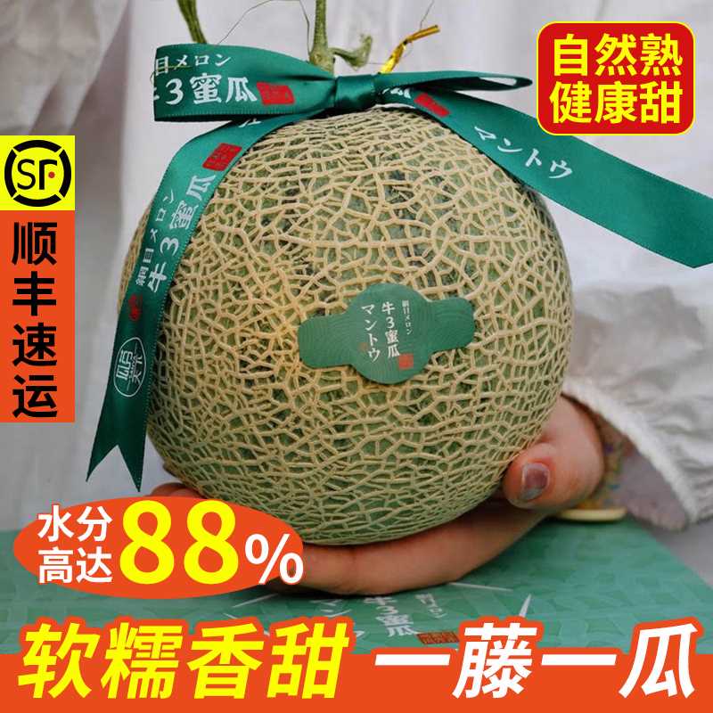 牛3蜜瓜正宗海南三亚牛三网纹瓜哈密瓜现摘新鲜当季水果精品礼盒