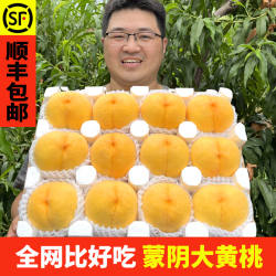 黄桃新鲜水果应当季时令脆毛鲜甜蒙阴蜜桃大桃子5斤整箱锦绣现摘