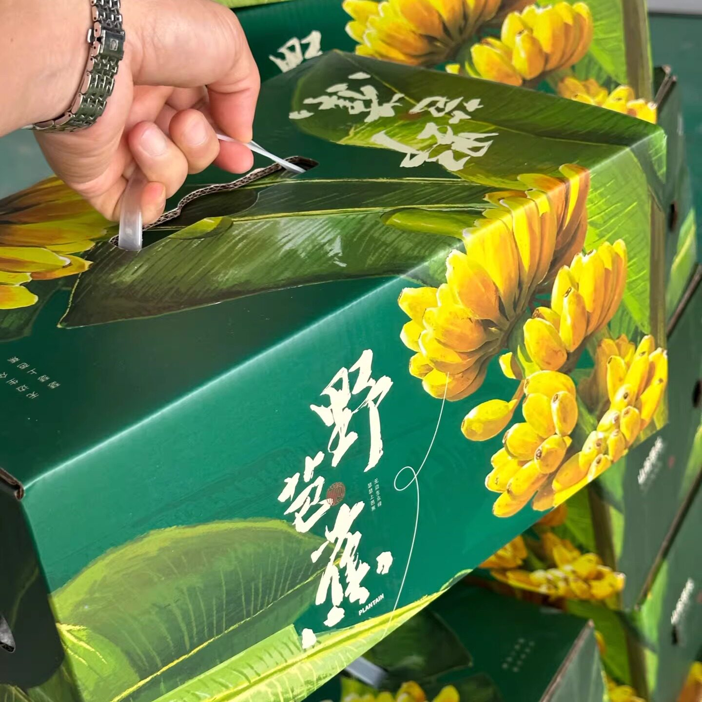 香蕉新鲜水果正宗海南芭蕉自然熟当季高山一级野生小香蕉5斤现摘