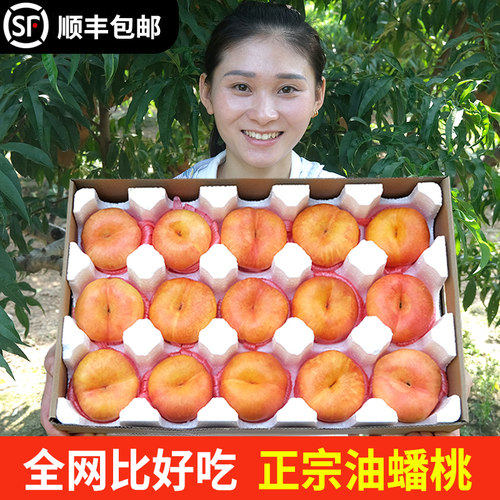黄金油蟠桃！现摘顺丰！不甜包赔