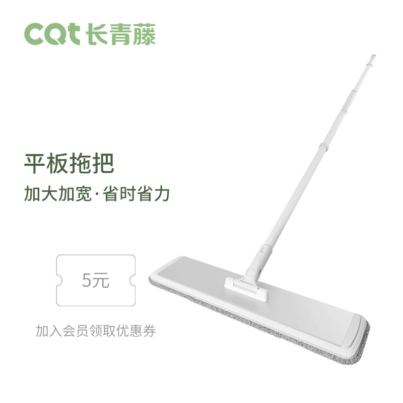 家用平板拖把加大号干湿两用