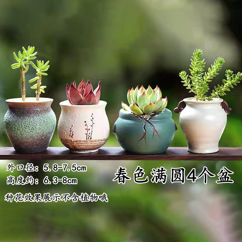 多肉花盆陶瓷多肉植物粗陶复古素烧紫砂家用创意大小简约特价清仓,鲜花速递/花卉仿真/绿植园艺,花盆,淘宝优惠券,粉丝福利购,淘宝优惠卷