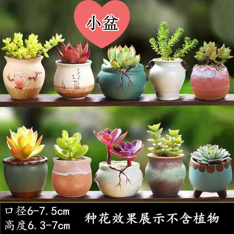 多肉花盆地面粗陶绿植物陶瓷简约个性创意桌面小盆栽花卉素烧盆器