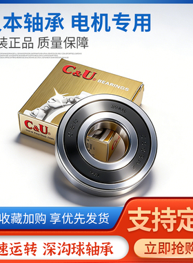 人本轴承6300-6322型号 高速轴承 原装正品批发 现货秒发开式2RZ