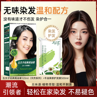 五贝子天然染发剂纯黑色遮盖白发植物护理染发膏男女旗舰店正品