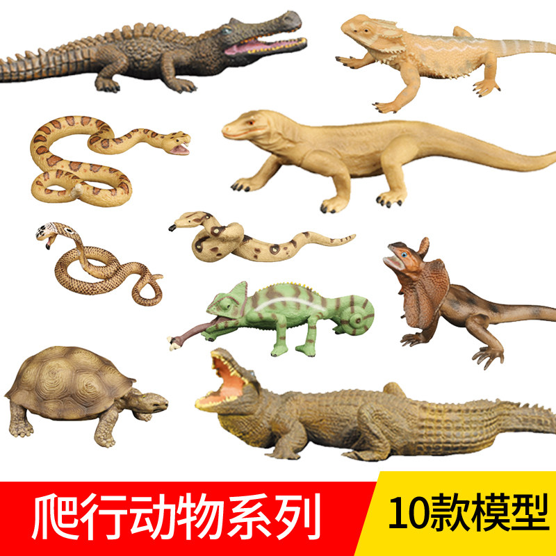 中杰铭动物模型儿童仿真