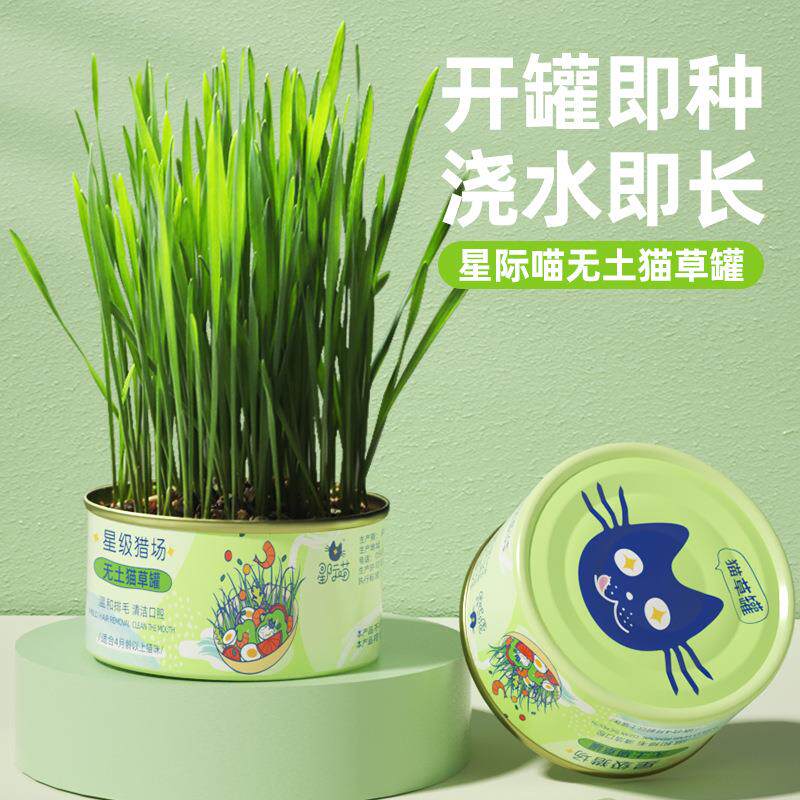 猫草罐头吐毛球化毛促进无土