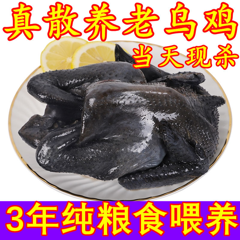 乌鸡冷冻散养乌骨鸡整只老母土鸡