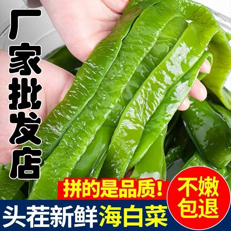 5斤新鲜海白菜盐渍裙带菜梗